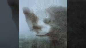 эдит с ёжиком в тумане