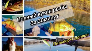 ПОРОЛОН+ПИЛЬКЕР=ЩУЧИЙ ДЖЕКПОТ🍀🔥