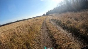 Маленько проехался