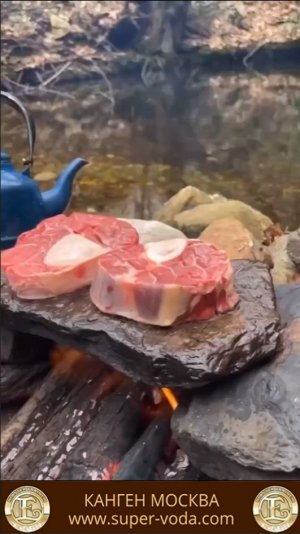 СТЕЙК ЗАПЕЧЕНЫЙ НА КАМНЕ 🥩😋🔥#еда #вкусно #кухня #стейк #мясо #овощи #камень #костер #природа #лес