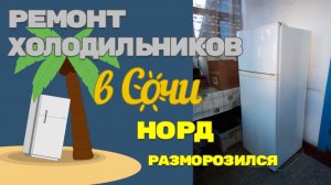 Холодильник Норд не включается