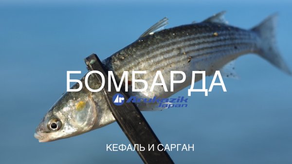 Бомбарда Arukazik Shallow Freak Expanda. Кефаль и сарган в конце ноября.