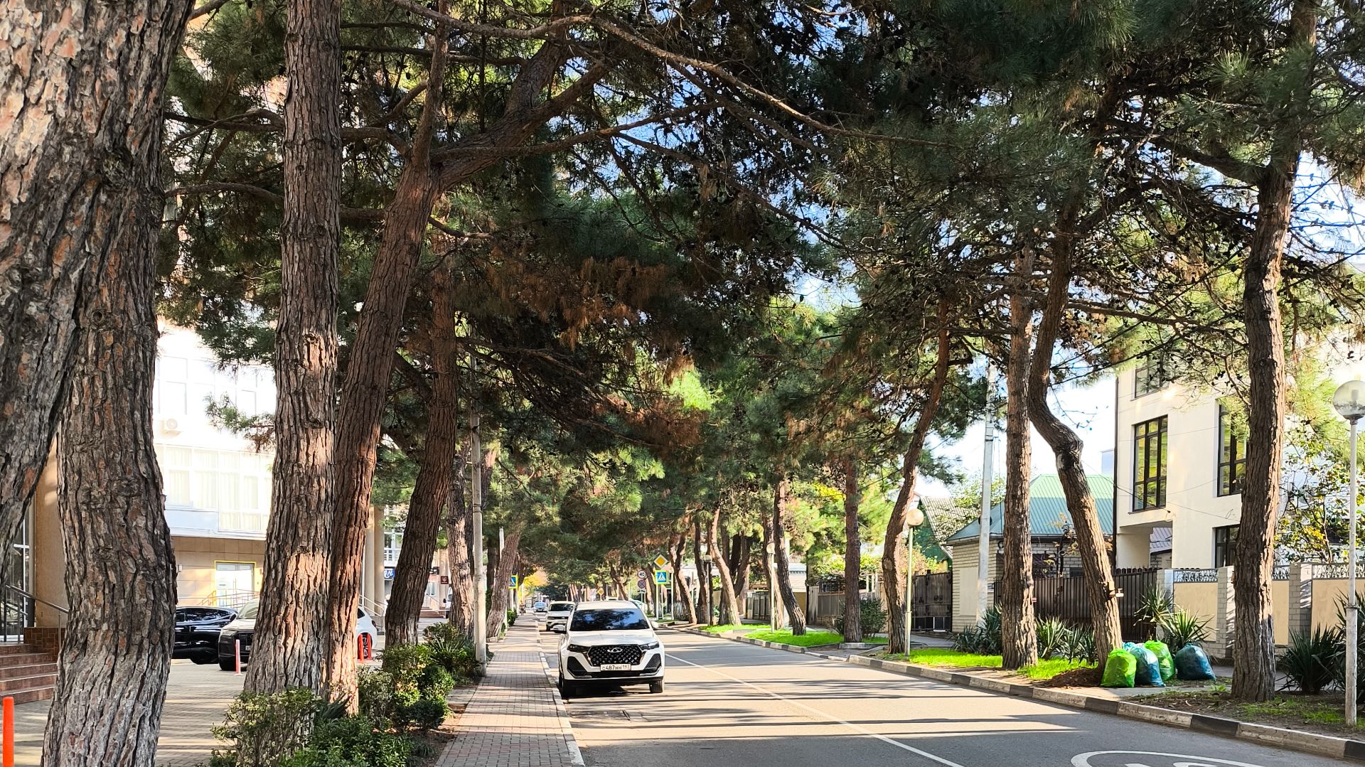 Геленджик 2025 смотреть онлайн