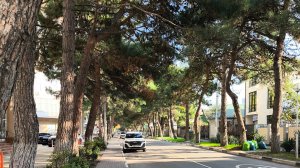 Геленджик 2025