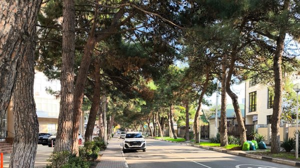 Геленджик 2025