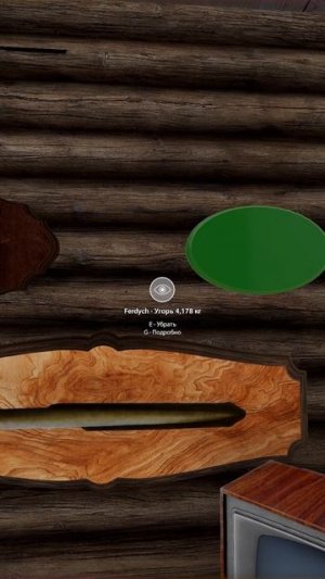 Чучело из трофейного лосося каспийского #рр4