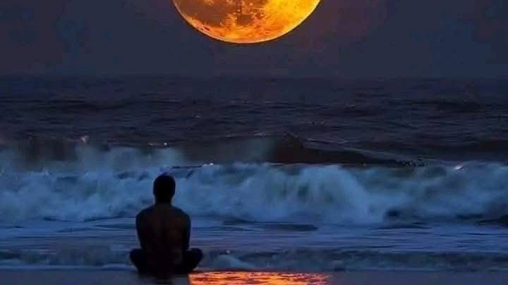 По следам дикой кошки... смотреть онлайн