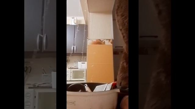 Поздравление студентовТГМТ с днем матери1 смотреть онлайн