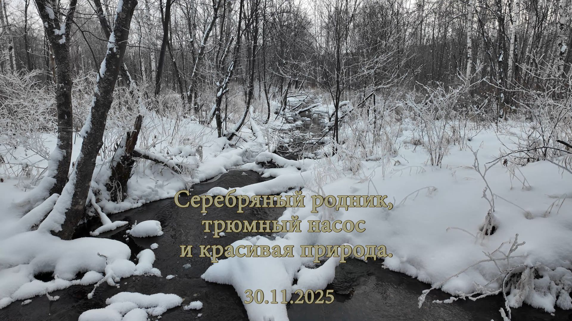 Серебряный родник, трюмный насос и красивая природа. 30.11.2025 смотреть онлайн