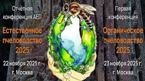 23.11.2025_Илья Николаевич Умрихин "Об очистке Воска"