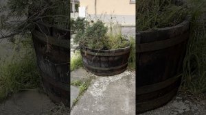 Уставший день . Муз и сл. Пётр Сёмин.