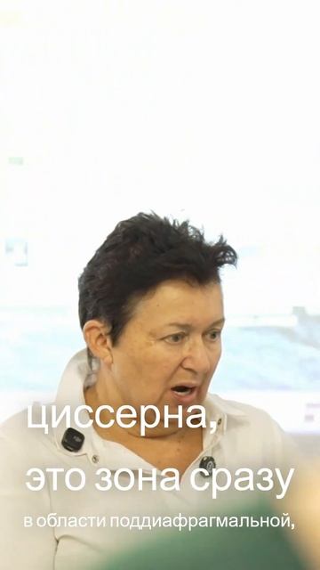 Лимфатическая цистерна - Анатомия и функции смотреть онлайн