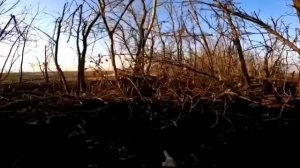 Штурм логово нацистов и пленение укропов