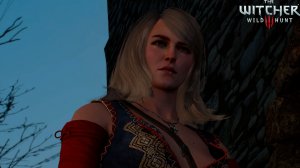 Ведьмак 3 - Выбор Йеннифэр #5 - Дружеская услуга