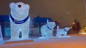 37/Россия,г.Тюмень.Приехали медведи.Снегопад.Гуляем