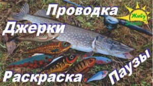 Рыбалка на Джерки. Раскраска, проводка. Нужны ли вообще паузы?