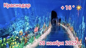 Краснодар - «Кроличья нора» в парке Галицкого - 28 ноября 2025 г.
