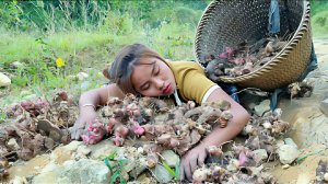 Дуонг готовит сушеную маниоку. Собирает галангал для продажи на рынке и заботится о животных