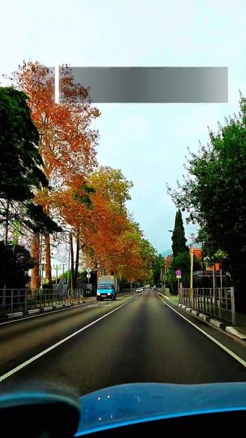 Beauty Code Olicosmetics