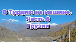 В Турцию на  машине. Часть 8. Грузия
