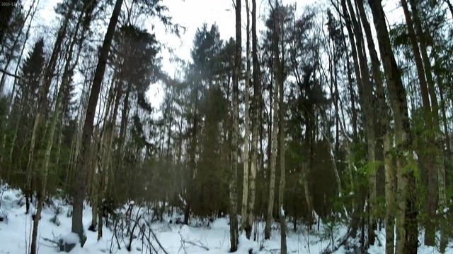 Поиск зайца. 30.11.25 погода +3. смотреть онлайн