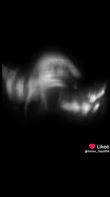 67 secret смотреть онлайн