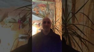 Глава VI. Хитроумный идальго Дон Кихот Ламанчский (Мигель де Сервантес Сааведра)