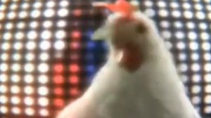 ПЕСНЯ Куриц TECNO CHICKEN