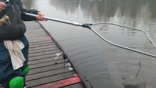 Донка. Основной водоём. смотреть онлайн