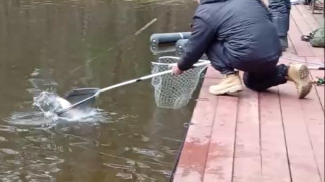 Поимки, сходы, обрывы. Рыбалка на спорт-зоне. Клёвое место Лосиный остров. смотреть онлайн