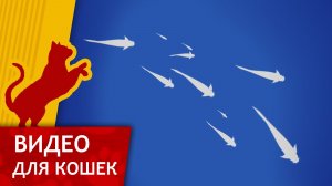 Видео для кошек - Силуэты рыб (Развлеки своего кота)