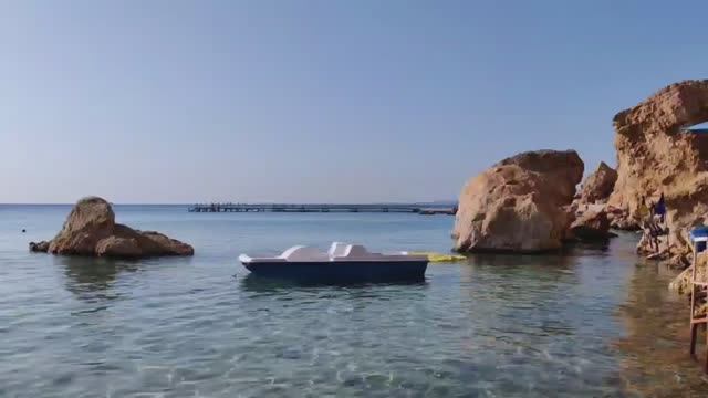 Шарм-эль-Шейх: Sharm Holiday Resort 4* - Наш ИДЕАЛЬНЫЙ ОТДЫХ! ☀️ Вкуснейший Ужин в Mahony. смотреть онлайн