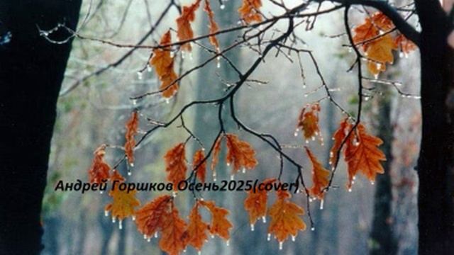 AndreyGorshkov Autumn2025(coverAI)