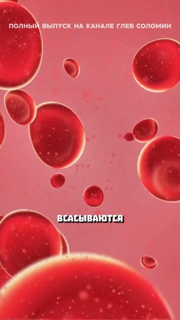 Протеин не насыщает смотреть онлайн