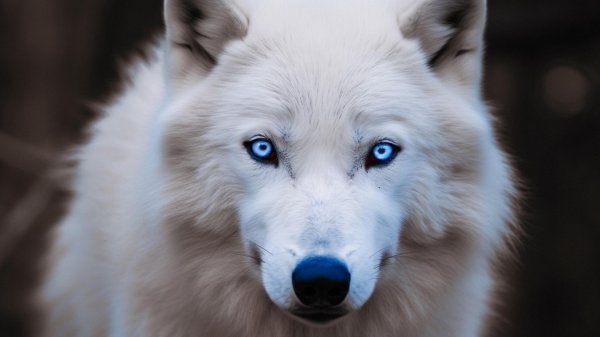 Всем привет. Заходите, буду очень рад