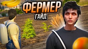 НОВАЯ ТОП РАБОТА - ФЕРМЕР! ЛУЧШИЕ РАБОТЫ на МАДЖЕСТИК РП - ЗАРАБОТОК ДЛЯ НОВИЧКОВ ГТА 5 РП