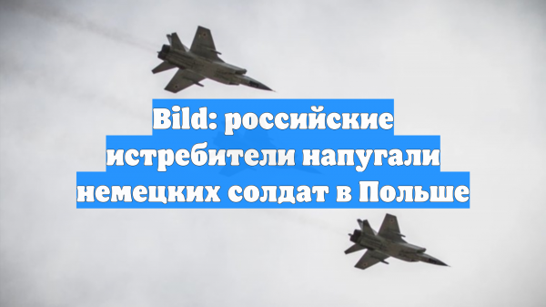 Bild: российские истребители напугали немецких солдат в Польше