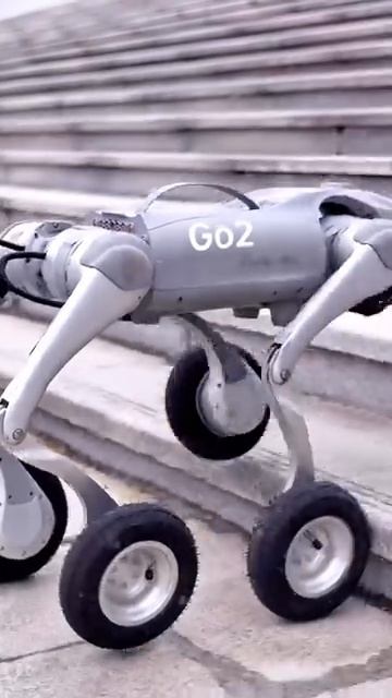 Робо-пёсили смотреть онлайн