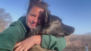 #32 УЕХАЛИ ИЗ ЛАТВИИ В РОССИЮ_ВЫГОНЯЕМ ПТИЦ ИЗ ПОД КРЫШИ