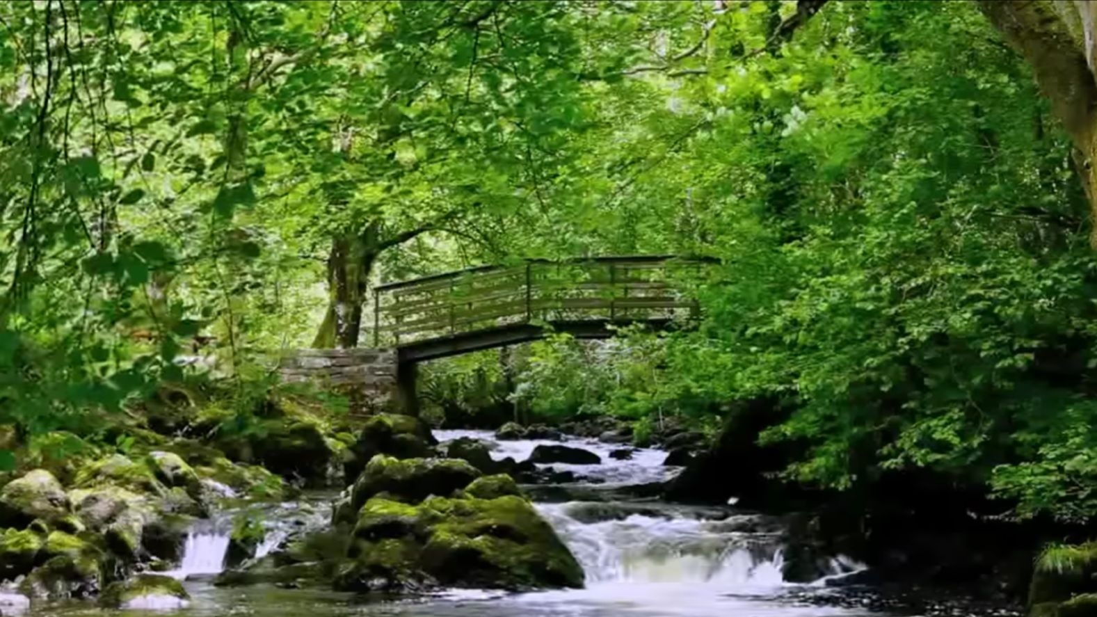 Расслабляющие звуки природы - изучение - сон-медитация-вода - птица смотреть онлайн