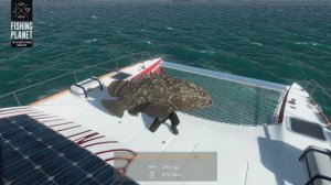 Fishing Planet. Мальдивы. Уникальный Индоокеанский Малоглазый Групер