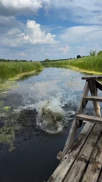 Это был мой 32й смотреть онлайн