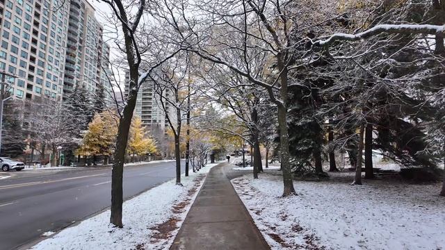 Канада. Прогулка в снегопад по Торонто и Южному Онтарио в формате 4K смотреть онлайн