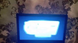 Открытие DVD-диска Смешарики: "Любимые истории Пина и Биби"