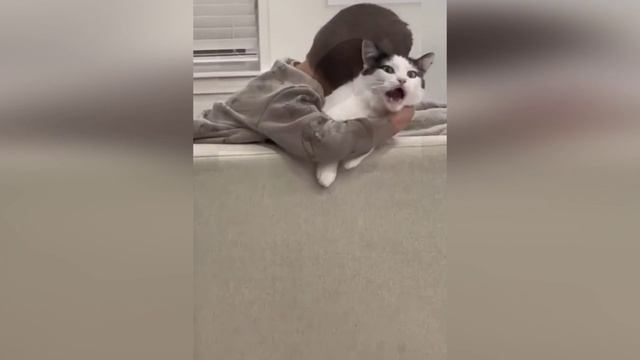 "Будьте братолюбивы друг ко другу с нежностью.." / Римлянам 12:10 / Библия смотреть онлайн