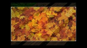 Опять опадает листва...