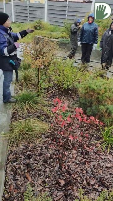 ПРАКТИЧЕСКОЕ ЗАНЯТИЕ В НОВОМ САДУ #youtubeshorts #ландшафтныйдизайн #design #garden смотреть онлайн