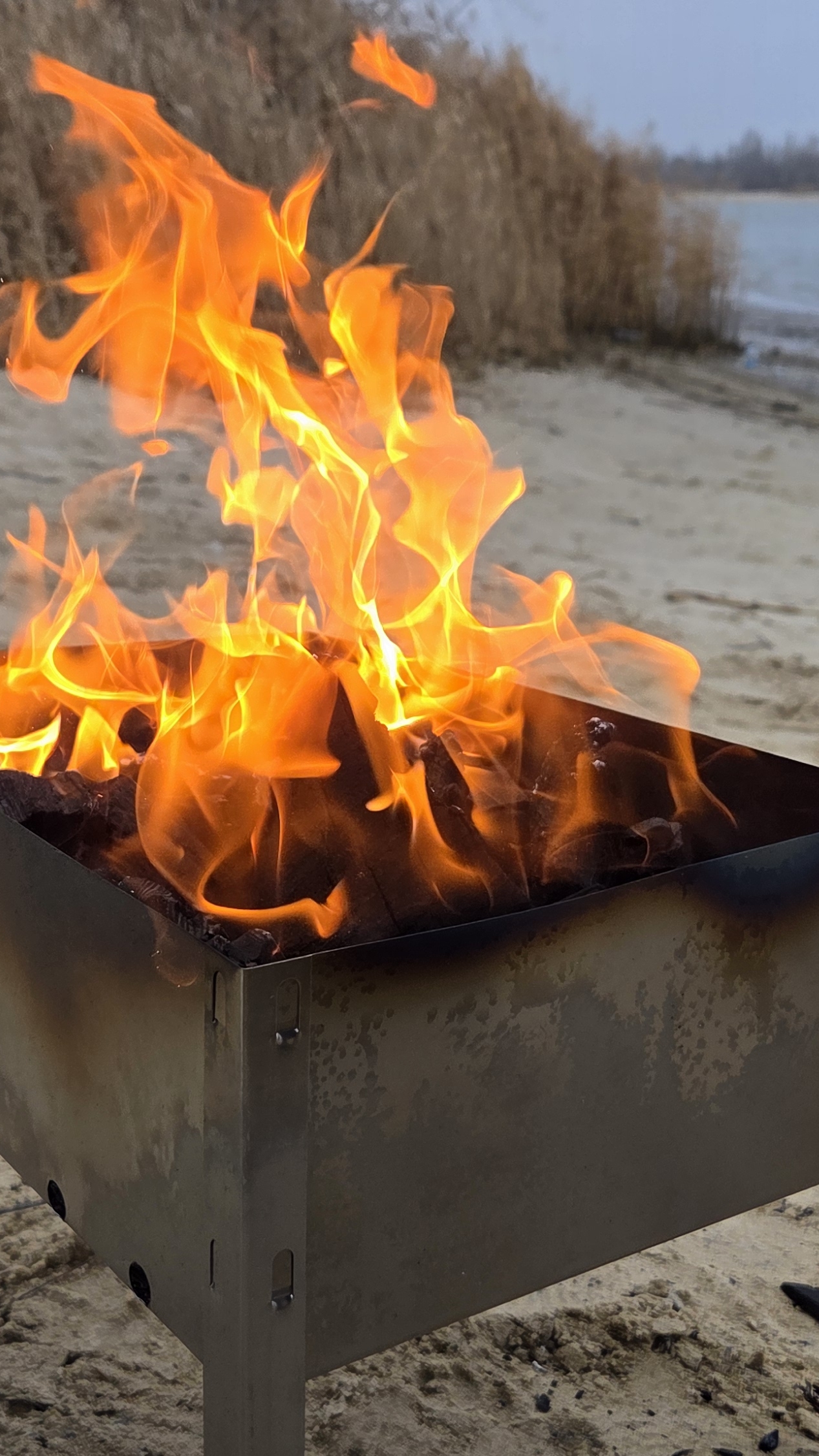 30-11-2025 #природа #костёр смотреть онлайн