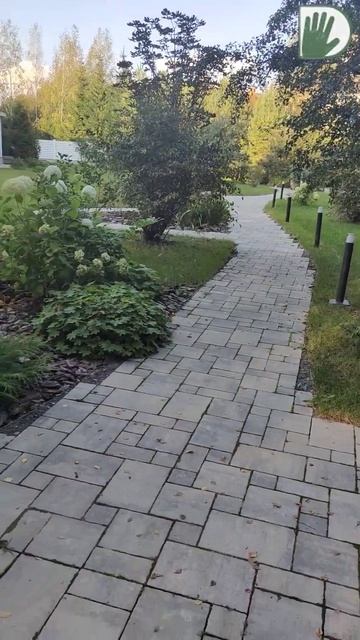 Теневой ЭкоСад от Дмитрия ГОССЕ ! #youtubeshorts #ландшафтныйдизайн #design #garden смотреть онлайн