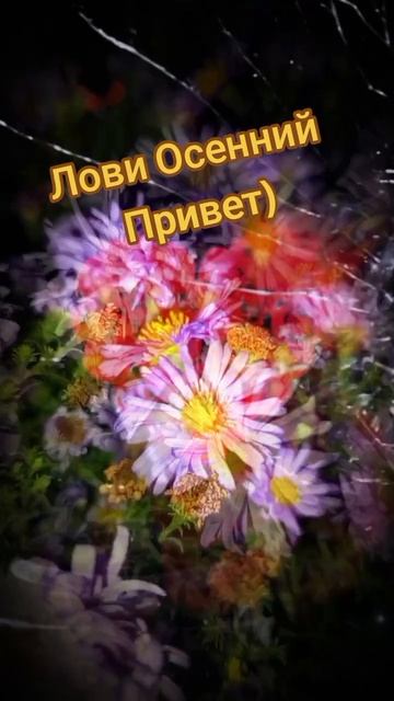 Осень прошла, началась зима